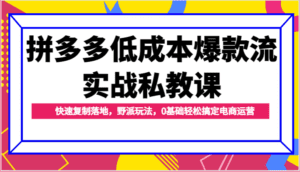 拼多多低成本爆款流实战私教课，快速复制落地，野派玩法，0基础轻松搞定电商运营-副业吧