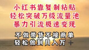 (11139期)深层揭秘小红书,靠复制粘贴,一周突破万级流量池,无脑搬运,暴力引流…-副业吧