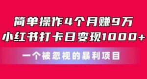 简单操作4个月赚9w，小红书打卡日变现1k，一个被忽视的暴力项目-副业吧
