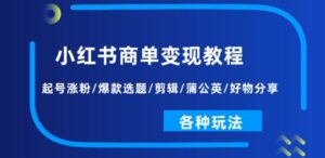 小红书商单变现教程：起号涨粉/爆款选题/剪辑/蒲公英/好物分享/各种玩法-副业吧