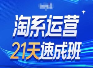 淘系运营24天速成班第28期最新万相台无界带免费流量-副业吧