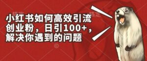 小红书如何高效引流创业粉,日引100+,解决你遇到的问题-副业吧