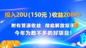 投入20u（150元 ）收益2000+ 附有管道收益  彻底解放双手  今年为数不多的好项目！-副业吧