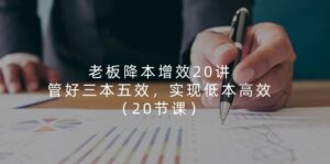 老板降本增效20讲，管好三本五效，实现低本高效（20节课）-副业吧