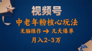 （11288期）视频号火爆玩法，高端中老年粉核心打法，无脑操作，一天十分钟，月入两万-副业吧