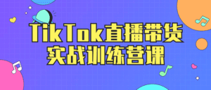 TikTok直播带货实战训练营课-副业吧
