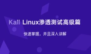 Kali Linux渗透测试高级篇-副业吧
