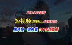 （11442期）中视频计划纯搬运，黑科技一键去重过原创，新手小白福音，轻松日入大几百-副业吧
