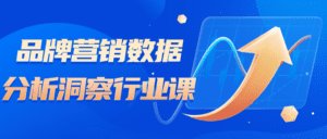 品牌营销数据分析洞察行业课-副业吧