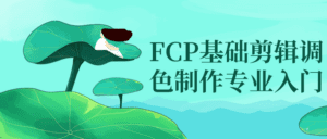 FCP基础剪辑调色制作专业入门-副业吧