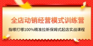 （11460期）全店动销-经营模式训练营，指哪打哪100%精准拉新保姆式起店实战课程-副业吧