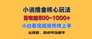 （11461期）小说撸金核心玩法，日收益500-1000+，小白看完照样上手，0成本有手就行-副业吧