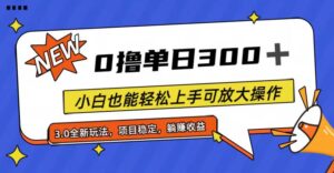（11490期）全程0撸，单日300+，小白也能轻松上手可放大操作-副业吧