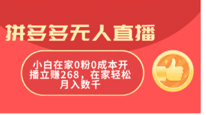 （11521期）拼多多无人直播，小白在家0粉0成本开播立赚268，在家轻松月入数千-副业吧
