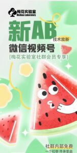 梅花实验室2024年AB技术视频号AB合成破解版-副业吧