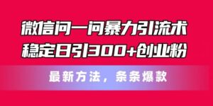 微信问一问暴力引流术，稳定日引300+创业粉，最新方法，条条爆款-副业吧