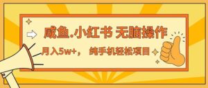 （11524期）2024最赚钱的项目，咸鱼，小红书无脑操作，每单利润500+，轻松月入5万+…-副业吧