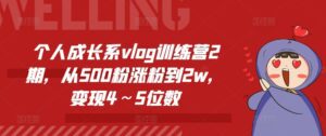 个人成长系vlog训练营2期，从500粉涨粉到2w，变现4～5位数-副业吧