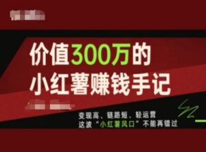 价值300万的小红书赚钱手记,变现高、链路短、轻运营,这波“小红薯风口”不能再错过-副业吧