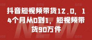 抖音短视频带货12.0，14个月从0到1，短视频带货90万件-副业吧