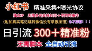小红薯精准采集＋无限曝光＋真实笔记跳转微信，永不屏蔽（日引300＋精准粉）-副业吧