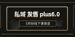 (11612期)私域 发售 plus6.0【5月份线下课录音】/全域套装 sop流程包,社群发售…-副业吧