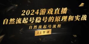 （11653期）2024游戏直播-自然流起号稳号的原理和实战，自然流起号流程（11节）-副业吧