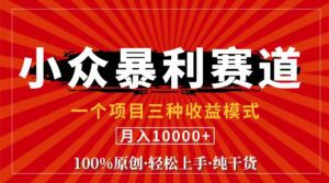 （11695期）视频号【中老年粉深信不疑】小众赛道 100%原创 手把手教学 新号3天收益…-副业吧