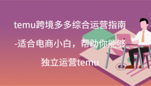 temu跨境多多综合运营指南-适合电商小白,帮助你能够独立运营temu(44节)-副业吧