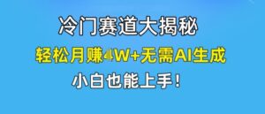 冷门赛道大揭秘，轻松月赚1W+无需AI生成，小白也能上手-副业吧