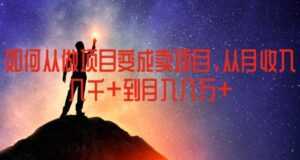 如何从做项目变成卖项目，从月收入几千到月入几万-副业吧