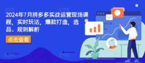 2024年7月拼多多实战运营现场课程,实时玩法,爆款打造,选品、规则解析-副业吧