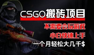 CSGO 装备搬砖项目，操作简单，不需要会玩游戏，小白也能快速上手，一个月轻松大几千-副业吧
