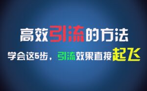 高效引流的方法,可以帮助你日引300+创业粉,一年轻松收入30万,比打工强太多!-副业吧