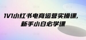 1V1小红书电商运营实操课，新手小白必学课-副业吧