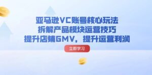 （11848期）亚马逊VC账号核心玩法，拆解产品模块运营技巧，提升店铺GMV，提升运营利润-副业吧