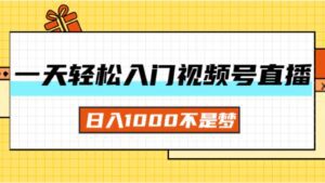 （11906期）一天入门视频号直播带货，日入1000不是梦-副业吧