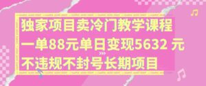独家项目卖冷门教学课程一单88元单日变现5632元违规不封号长期项目-副业吧