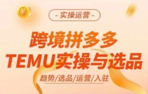 跨境拼多多TEMU实操与选品，多多temu跨境选品运营实操-副业吧