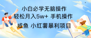全网首发2024最暴利手机操作项目，简单无脑操作，每单利润最少500+-副业吧
