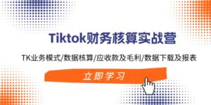 Tiktok财务核算实战营：TK业务模式/数据核算/应收款及毛利/数据下载及报表-副业吧