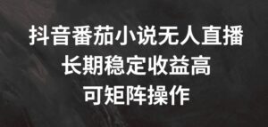 抖音番茄小说无人直播，长期稳定收益高，可矩阵操作-副业吧
