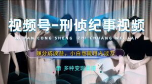 利用刑侦纪实视频，赚视频号分成计划收益，操作简单，新手小白轻松月入过万-副业吧