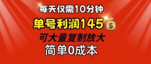 （12027期）每天仅需10分钟，单号利润145 可复制放大 简单0成本-副业吧