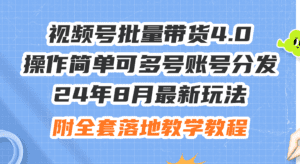 （12093期）24年8月最新玩法视频号批量带货4.0，操作简单可多号账号分发，附全套落…-副业吧