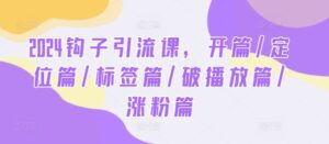 2024钩子引流课，开篇/定位篇/标签篇/破播放篇/涨粉篇-副业吧