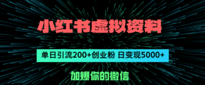 （12164期）小红书虚拟资料日引流200+创业粉，单日变现5000+-副业吧
