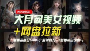 【新思路】大月匈美女视频+网盘拉新，靠搬运每日5000+，简单暴力，0基础小白可参与-副业吧