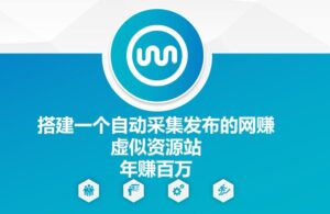 搭建一个自动采集发布的网创虚似资源站年赚百W-副业吧