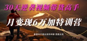30天逆袭视频带货高手，单月变现6万加特训营-麦子甜-副业吧